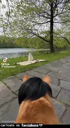 Gif Animata