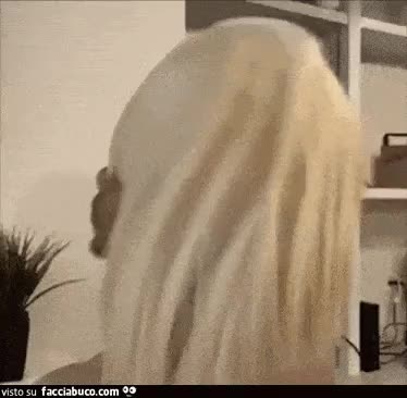 gif animata