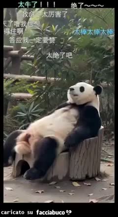 Gif Animata