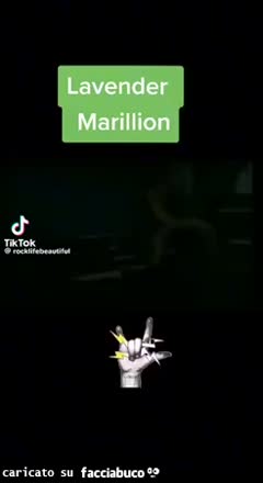 Gif Animata