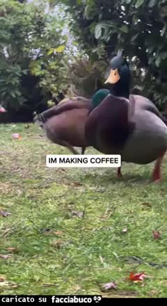 Caffรจ di gruppo