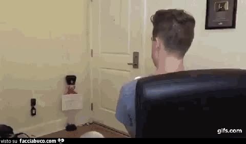 gif animata