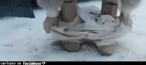 Gif Animata