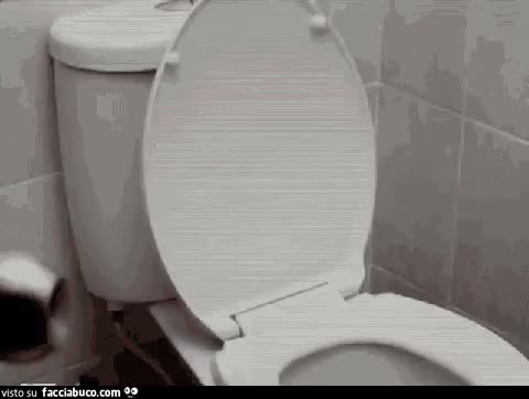 gif animata