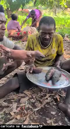 Gif Animata