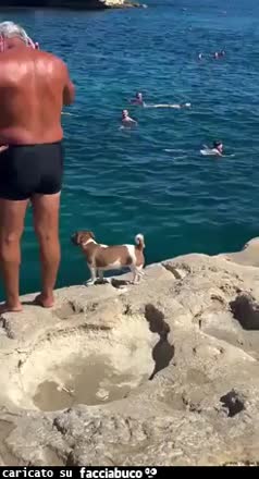 Gif Animata