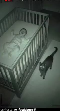 Gif Animata