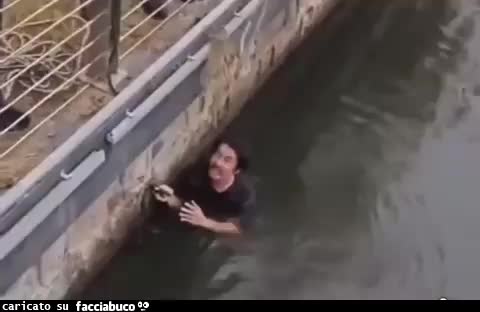 Gif Animata