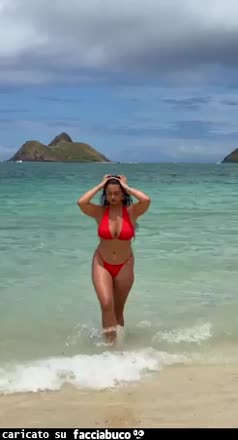 Gif Animata