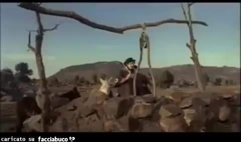 gif animata
