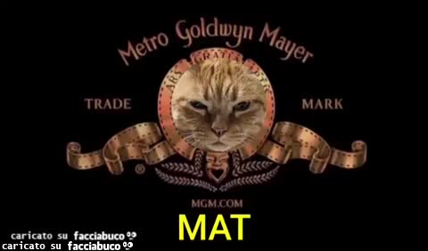 O zerbin micione