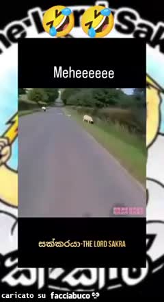 Gif Animata