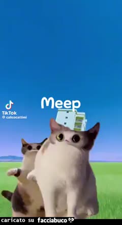 Gif Animata