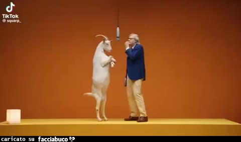 Gif Animata