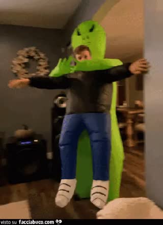 gif animata