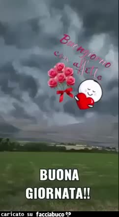 Gif Animata