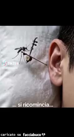 Gif Animata