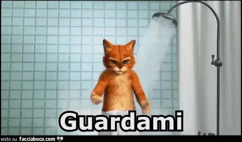 gif animata