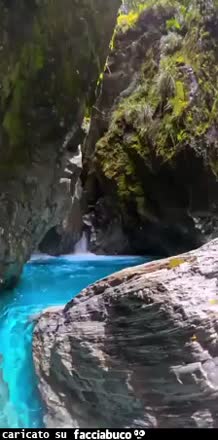 Gif Animata