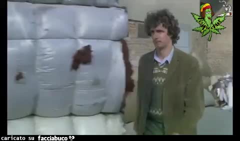 Gif Animata