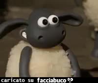 gif animata
