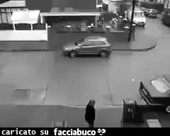 Gif Animata