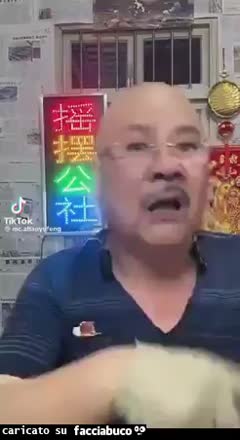 Gif Animata
