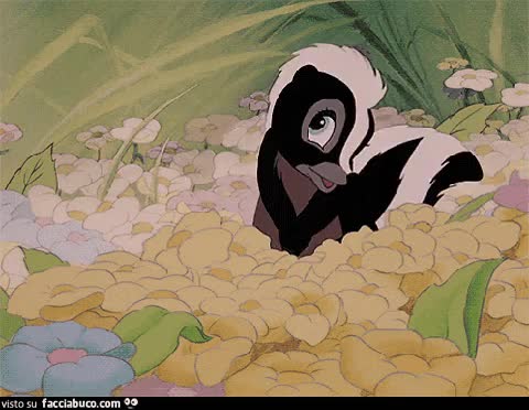 gif animata