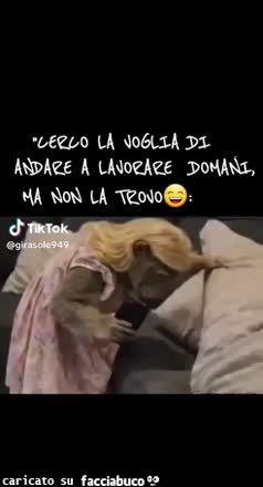 Cerco la voglia di andare a lavorare domani ma non la trovo