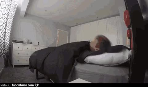 gif animata