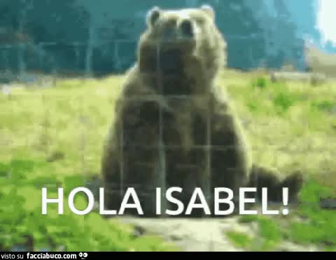gif animata