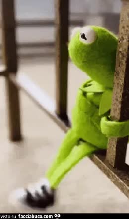 gif animata
