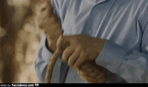 gif animata