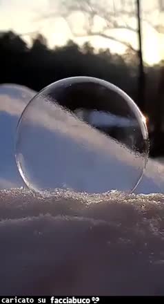gif animata