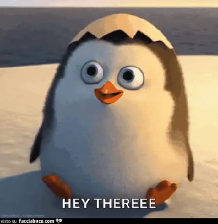 gif animata