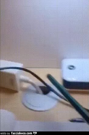 gif animata