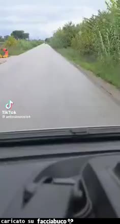 Gif Animata