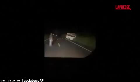 gif animata