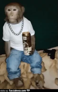 gif animata