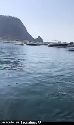 gif animata