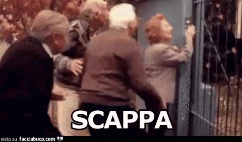gif animata