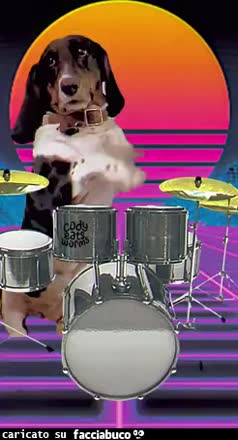 Gif Animata
