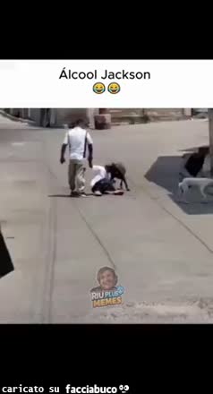 Gif Animata