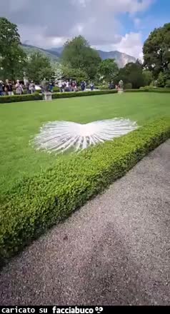 Gif Animata
