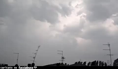 Gif Animata