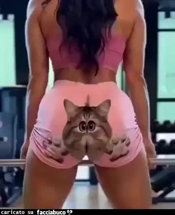 Gif Animata
