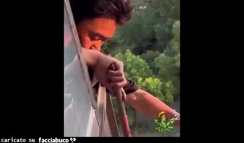 Gif Animata