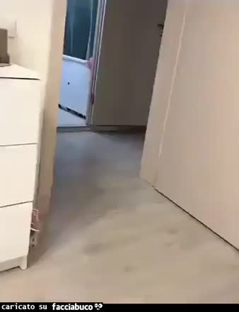 Gif Animata