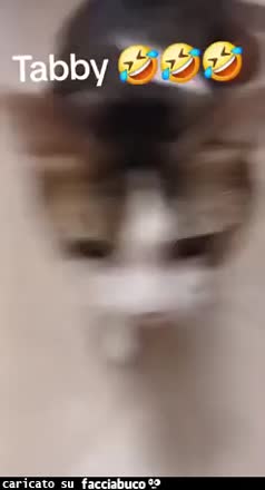 Gif Animata