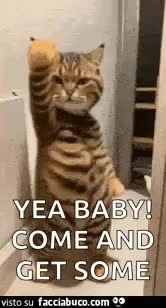 gif animata
